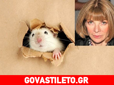 Απίστευτο: Ποντικοί κατέκλυσαν το «στρατηγείο» της Vogue!